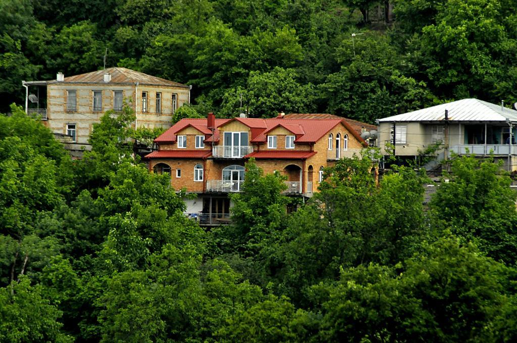 Zandarashvili Guest House Szenaki Kültér fotó