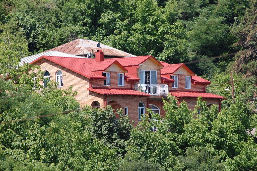 Zandarashvili Guest House Szenaki Kültér fotó