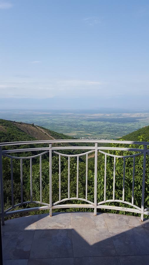 Zandarashvili Guest House Szenaki Kültér fotó